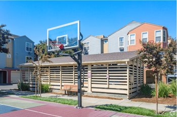 A basketball hoop is in the foreground of a residential area with houses in the background at The Woods Apartments, San Jose, 95136